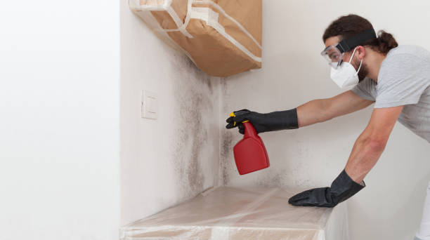 Professional Basement Mold Remediation technician working in Matawan, NJ