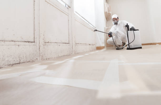 24/7 Emergency Basement Mold Remediation experts in Matawan, NJ